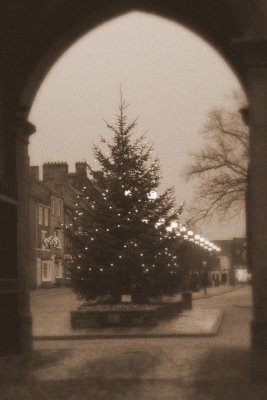 AUCKLAND CASTLE CHRISTMAS TREE