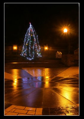 Town Tree