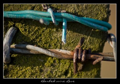 Barbed Wire love