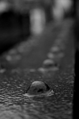 Wet Bridge