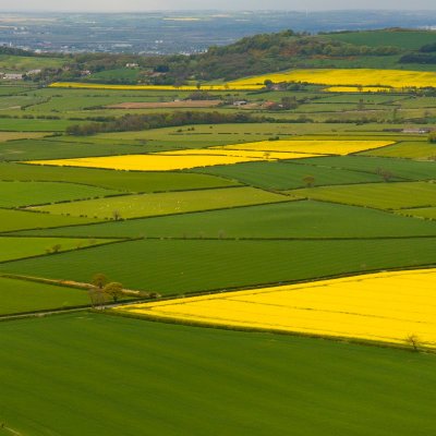 Englands green and pleasent land. Is turning yellow