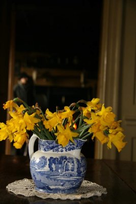 Daffs
