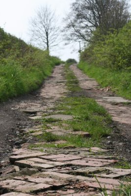 Broken Path to Eldon vicarage