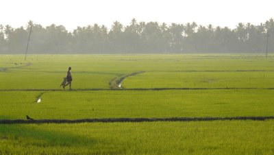 Village de Aymanam