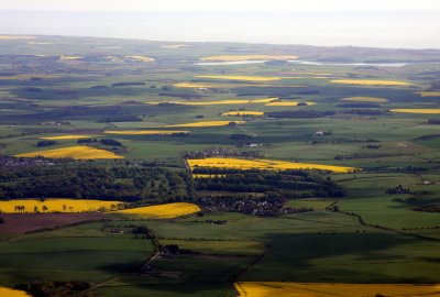 Rapeseed fields from the Air May 2009