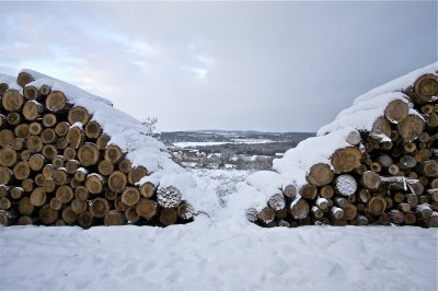 Dee valley through stacked logs