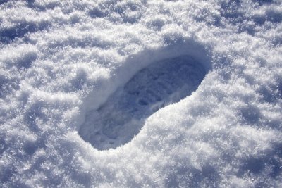 Crystals of snow crushed by a foot