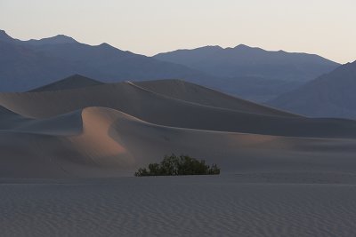 Morning Dunes