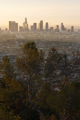Downtown L.A. in Morning Light