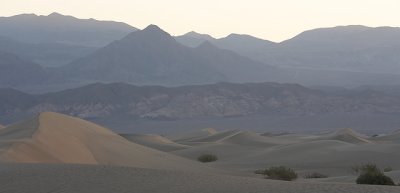 Morning Dunes 1