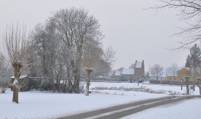 Winter Wondeland