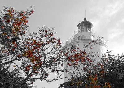 Lighthouse in autumn