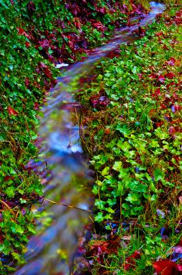 DSC_1101d100fs960.jpg