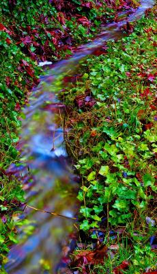 DSC_1101fscr2 965.jpg