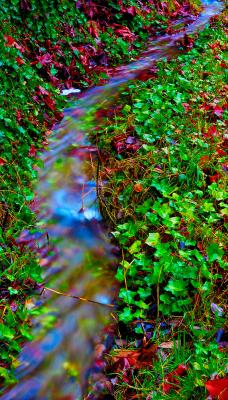 DSC_1101fsFM800.jpg