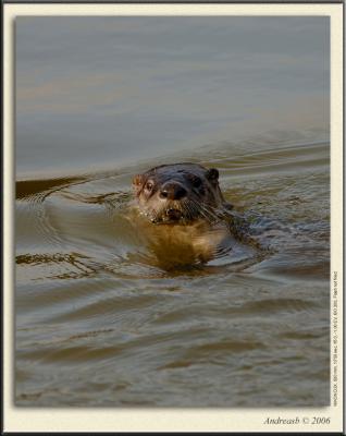 DSC_0017fscr.jpg