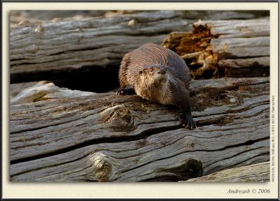 DSC_0073fs1900(1).jpg