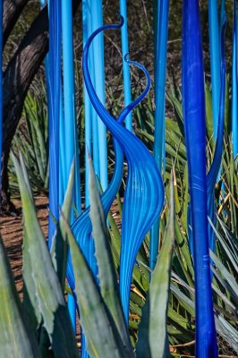 Blue reeds