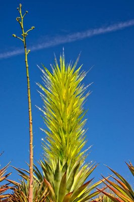 Desert Tower