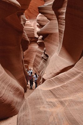 Dwarfed by the walls of Lower Antelope