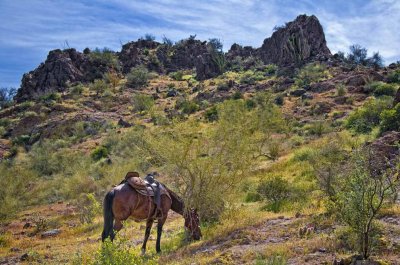 On the trail
