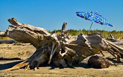 Umbrella on Jetty Island