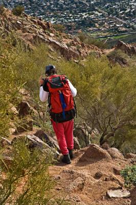 On Camelback Mountain