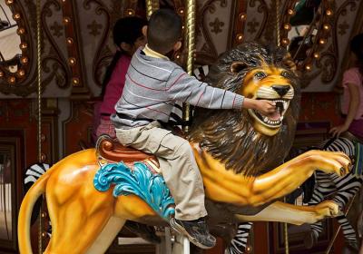 The carousel at the zoo
