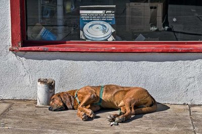 Lazy in Williams