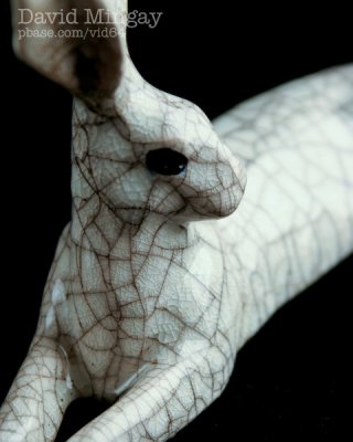 Aug 20: Hare