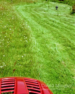 June 21: Mowing