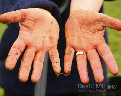 Dec 5: Tree Planting Hands