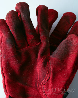 Mar 24: Gloves