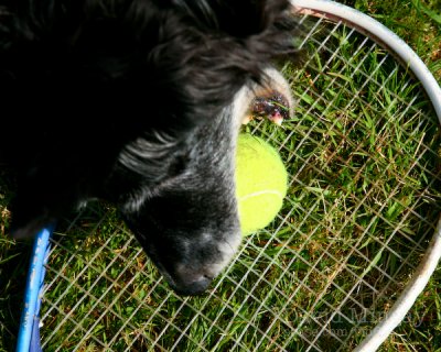 May 12: Tennis