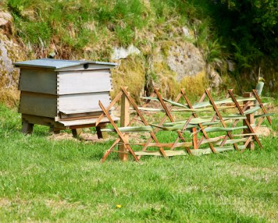 May 18: New apiary