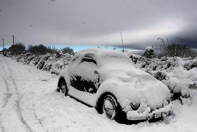 Nov 25: Snow Lurker