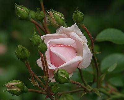 IMG_0449.JPG