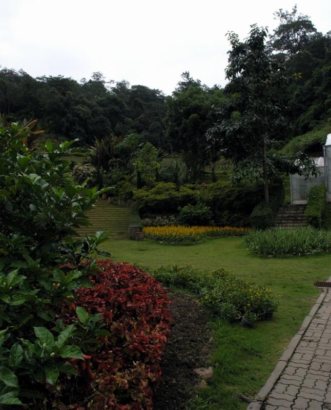 Botanical garden Chiang Mai