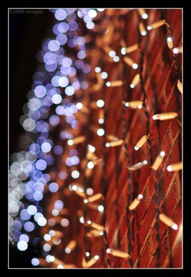more Bokeh