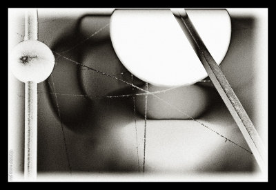 18.12.2009 - LightWeb