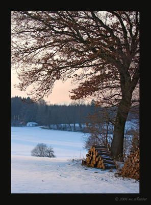 crossview