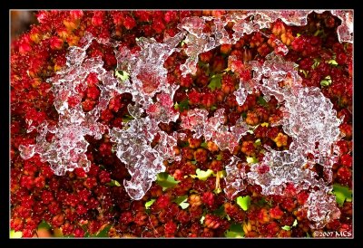 20.2 Red-Ice