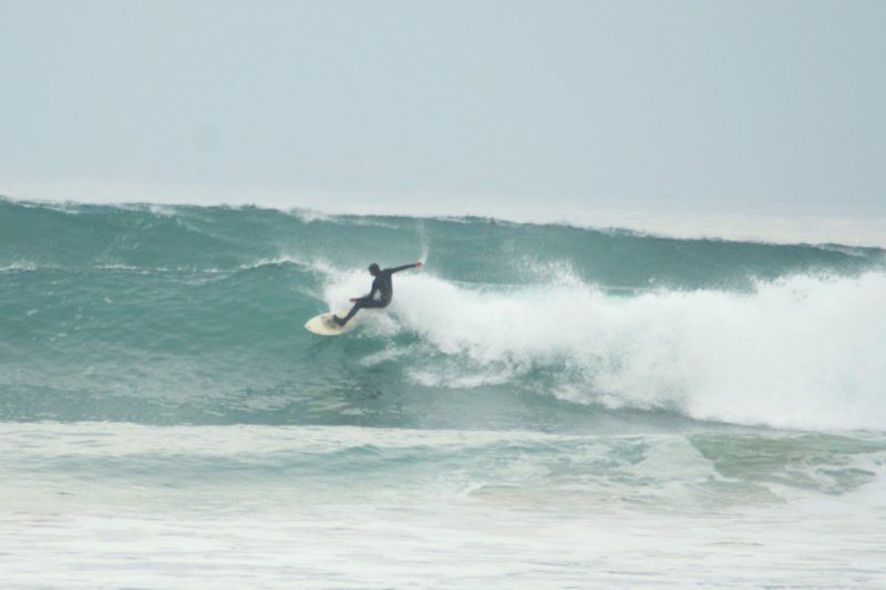 Thanksgiving Surfer