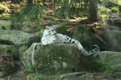 Woodland Park Zoo -019.jpg