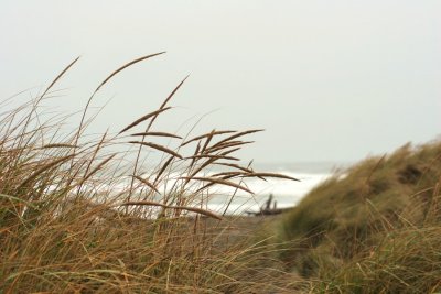 Rainy Day Beach