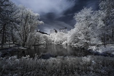 Third place, Infrared - the loneliest colour (Jens Rsner, 18 points)