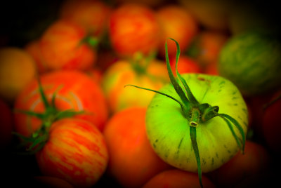 Striped Green Tomato (Alan Bland, 7 points)