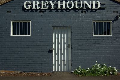 #15 greyhound wall