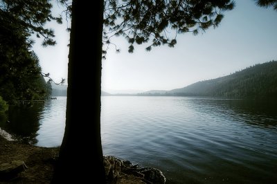 Lake, tree, sunrise (2008)