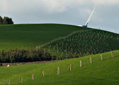 4th: Wind-Farm by Nigel (nigbat)